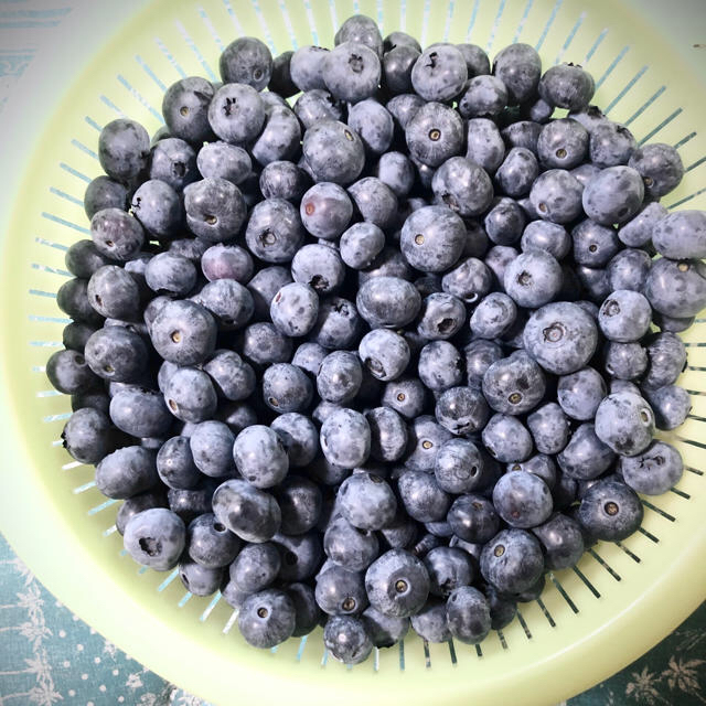 ⭐︎購入前コメントお願い致します🌸様⭐︎専用 群馬県産ブルーベリー 冷凍5キロ 食品/飲料/酒の食品(フルーツ)の商品写真