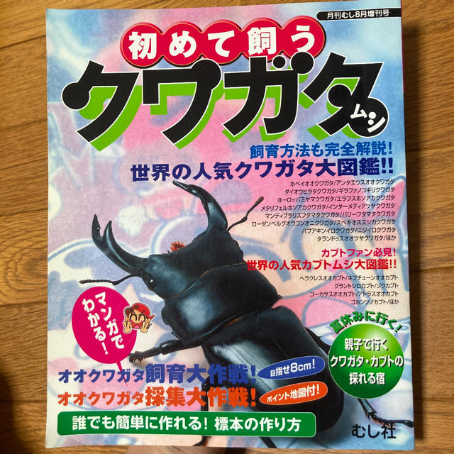 初めて飼うクワガタムシの通販 By Riot Kちゃん S Shop ラクマ 初めて飼うクワガタムシの通販 By Riot Kちゃん S Shop ラクマ