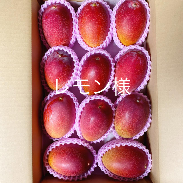 完熟マンゴー　宮崎県産　3.5kg　自家用　フルーツ