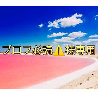 【初版】三浦春馬　写真集　たぶん。&　Ｌｅｔｔｅｒｓセット