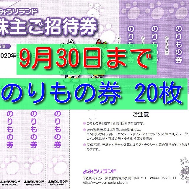 ■ジャイアントスカイリバーもOK!■よみうりランドのりもの券20枚■9/30迄■ チケットの施設利用券(遊園地/テーマパーク)の商品写真