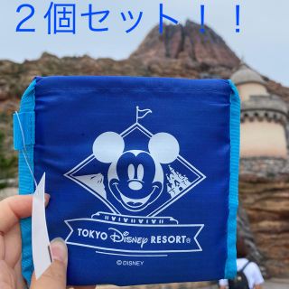 ディズニー(Disney)のディズニーリゾート　ショッピングバッグ(エコバッグ)