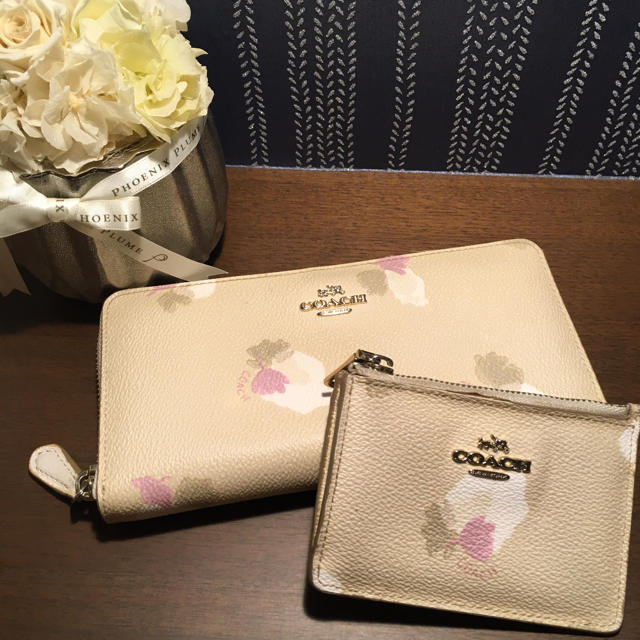 COACH(コーチ)の《最終☆値下げ‼︎》COACH コインケース パスケース レディースのファッション小物(パスケース/IDカードホルダー)の商品写真