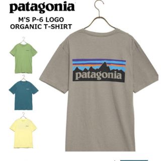 パタゴニア(patagonia)のパタゴニア Tシャツ　グレー(Tシャツ/カットソー(半袖/袖なし))