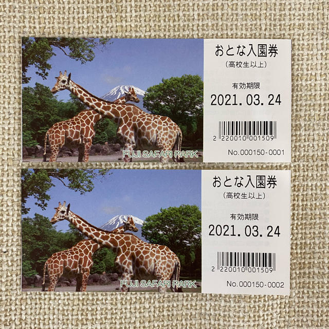 富士サファリパーク入園券　おとな2枚 チケットの施設利用券(動物園)の商品写真