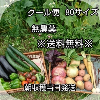 7/23収穫分【クール便】朝収穫当日発送！無農薬野菜 80サイズ 送料無料！(野菜)