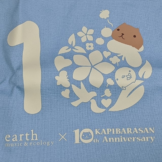 earth music & ecology(アースミュージックアンドエコロジー)のカピバラさん 10周年記念グッズ　アースマジック　earthmusic　コラボ エンタメ/ホビーのおもちゃ/ぬいぐるみ(キャラクターグッズ)の商品写真