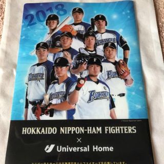 ホッカイドウニホンハムファイターズ(北海道日本ハムファイターズ)の北海道日本ハムファイターズ 2018 クリアファイル 札幌ドーム配布品 非売品(記念品/関連グッズ)