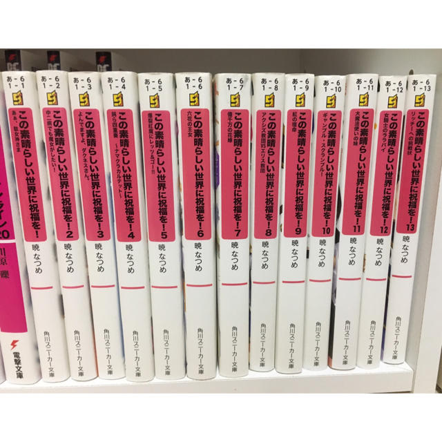 文学/小説この素晴らしい世界に祝福を！ 小説1〜13巻 - 文学/小説