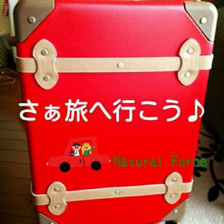 1～3泊向き30㍑オッケーキャリーバッグ(旅行用品)