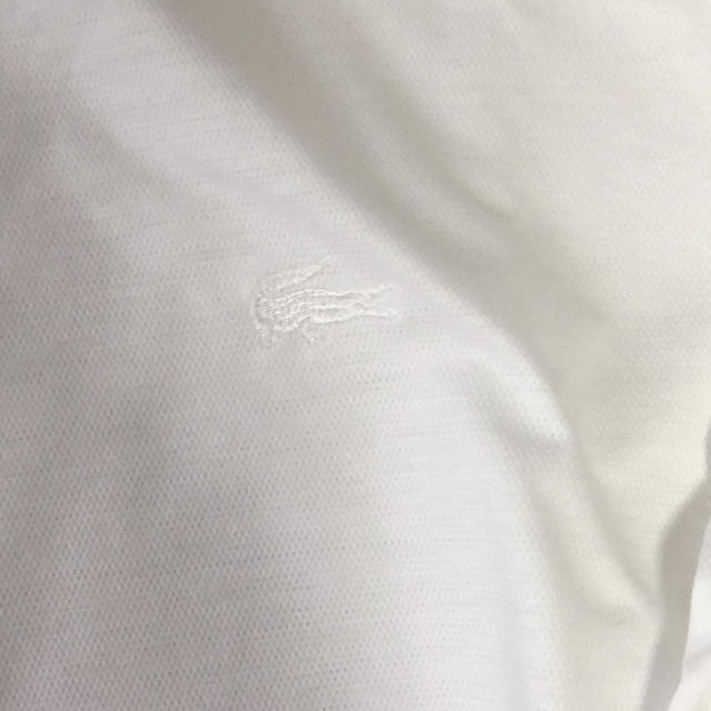 LACOSTE(ラコステ)のラコステ　綿シャツ レディースのトップス(ポロシャツ)の商品写真