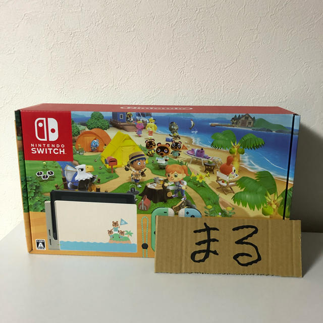 印なし　Nintendo Switch あつまれ どうぶつの森セット