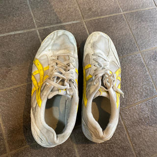 アシックス(asics)のアシックス　体育館で履いてた靴　確か28.5cm asics(その他)
