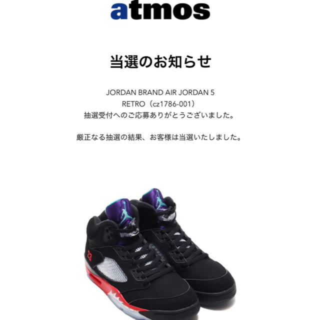 NIKE(ナイキ)の【27.5】NIKE AIR JORDAN 5 RETRO TOP 3 メンズの靴/シューズ(スニーカー)の商品写真