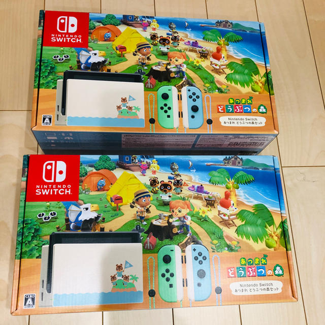 ２台セット　Nintendo Switch あつまれ どうぶつの森セット