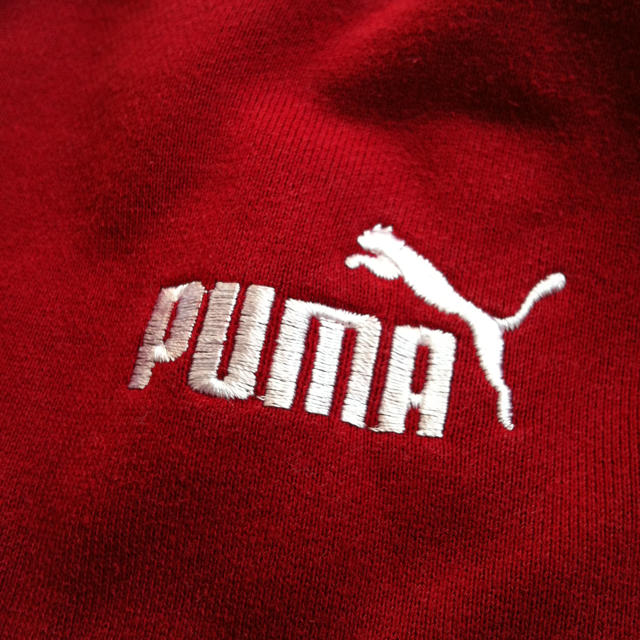 PUMA(プーマ)のパーカー＊大きめサイズ レディースのトップス(パーカー)の商品写真