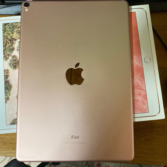 ipad pro 10.5インチ 256GB ジャンク品 - www.sorbillomenu.com