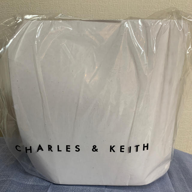 Charles and Keith(チャールズアンドキース)の【専用】チャールズアンドキース 完売 ショルダー バッグ レディースのバッグ(ショルダーバッグ)の商品写真