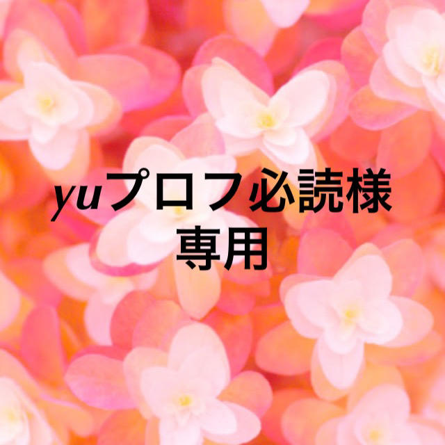 yuプロフ必読様専用 - www.cabager.com