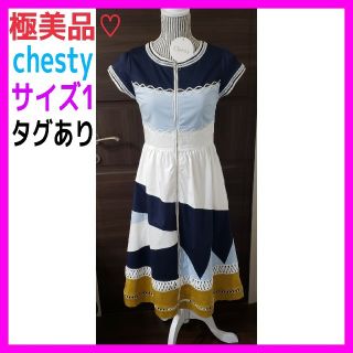 チェスティ(Chesty)の極美品♡チェスティ 1 フロント ジップ ブルー ホワイト ワンピース(ひざ丈ワンピース)