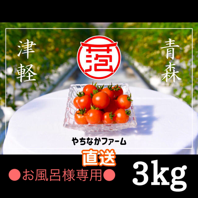 ☘️農学博士のミニトマト【Dr.トマト 3Kg】☘️〜青森津軽産〜 食品/飲料/酒の食品(野菜)の商品写真