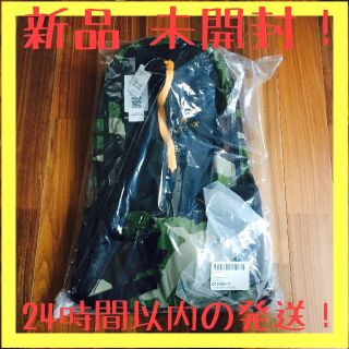 アークテリクス(ARC'TERYX)のARC'TERYX × BEAMS / 別注 ARRO 22 19SS 【新品】(バッグパック/リュック)