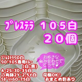 【スリット鉢】プレステラ105白20個 多肉植物(プランター)