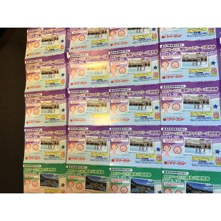 東京都競馬　株主優待　4冊　サマーランド(プール)