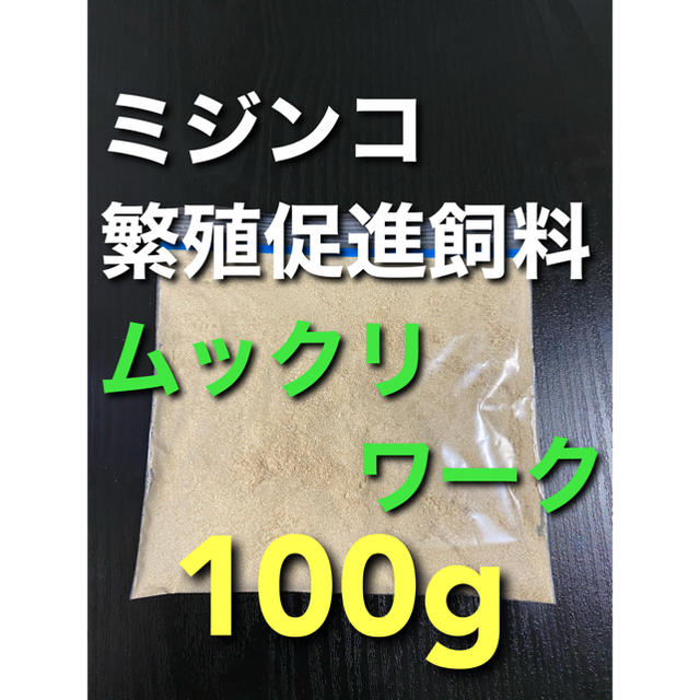 ムックリワーク ミジンコ繁殖促進飼料 Psb 生クロレラ メダカの通販 By しん ラクマ