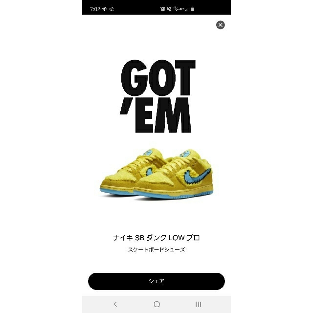 NIKE(ナイキ)のNIKE SB DUNK ナイキ　ダンク　グレイトフルデッド メンズの靴/シューズ(スニーカー)の商品写真