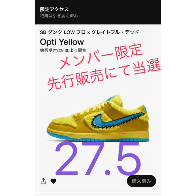 NIKE(ナイキ)のsbdunk gratefuldeat nike ダンク　sb  メンズの靴/シューズ(スニーカー)の商品写真