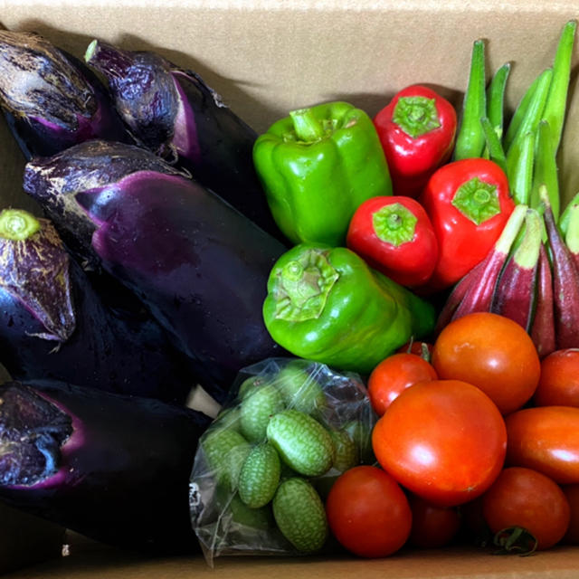 無農薬 朝採れ野菜詰め合わせ 食品/飲料/酒の食品(野菜)の商品写真