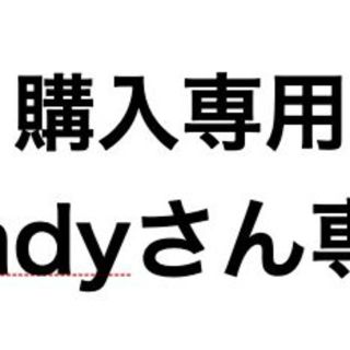 cindyさん購入専用(その他)