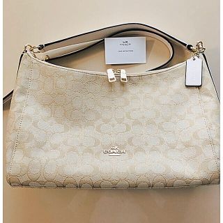 コーチ(COACH)のCOACH バッグ (ショルダーバッグ) F58284 シグネチャー (ショルダーバッグ)