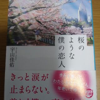 シュウエイシャ(集英社)の小説 桜のような僕の恋人(文学/小説)