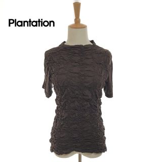 イッセイミヤケ(ISSEY MIYAKE)のプランテーション　Plantation カットソー　半袖Tシャツ イッセイミヤケ(カットソー(半袖/袖なし))