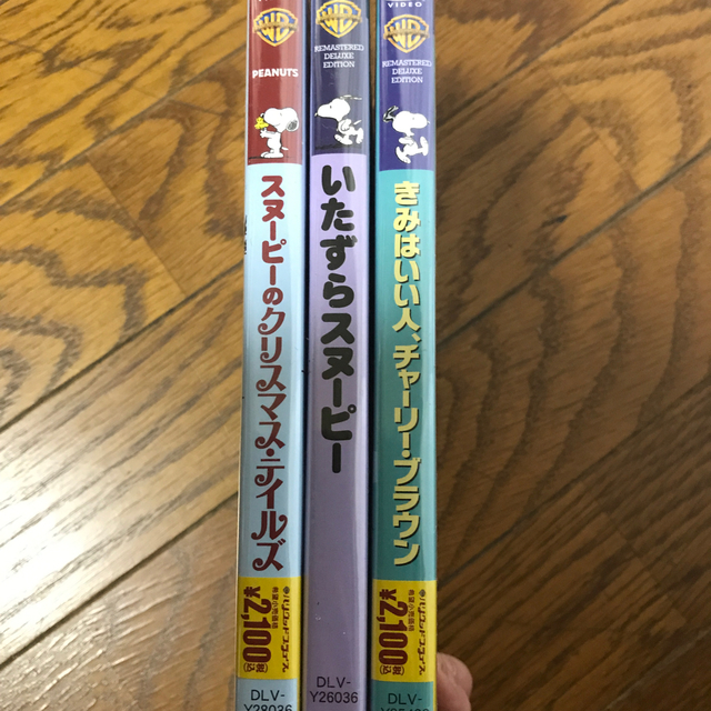 SNOOPY(スヌーピー)のSNOOPY DVD サンプル エンタメ/ホビーのDVD/ブルーレイ(キッズ/ファミリー)の商品写真