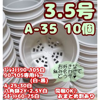 プラ鉢【A-35】10個 スリット鉢 丸 プレステラ 多肉植物(プランター)