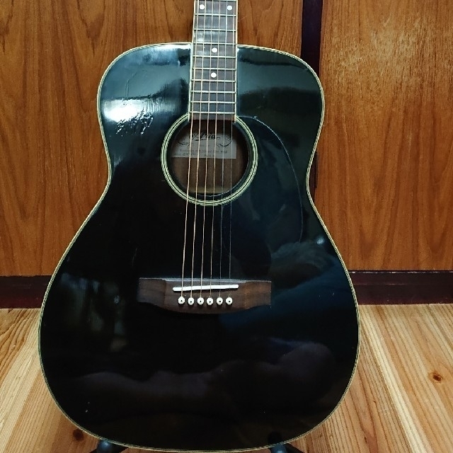 アリア アコースティックギター ADF-250