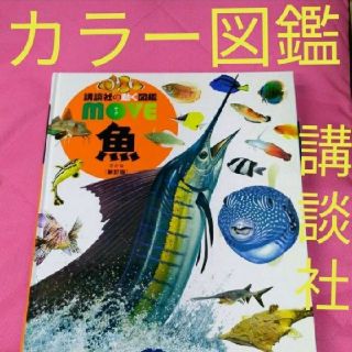 コウダンシャ(講談社)の✨こたろーママ様ご専用✨(語学/参考書)