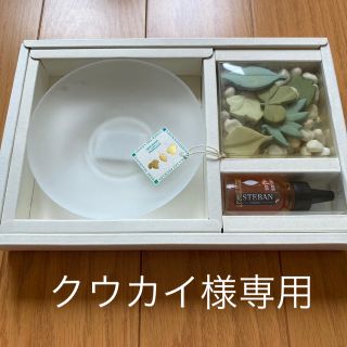 エステバン　グリーンノート　未使用セット(アロマグッズ)