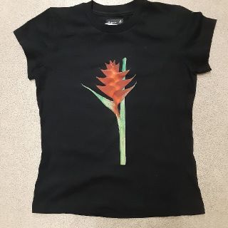 アニエスベー(agnes b.)のアニエスb　レディースTシャツ(Tシャツ(半袖/袖なし))