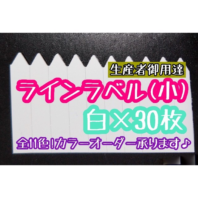 ◎30枚◎(小)  白 ホワイト ラインラベル 園芸ラベル カラーラベル ハンドメイドのフラワー/ガーデン(その他)の商品写真