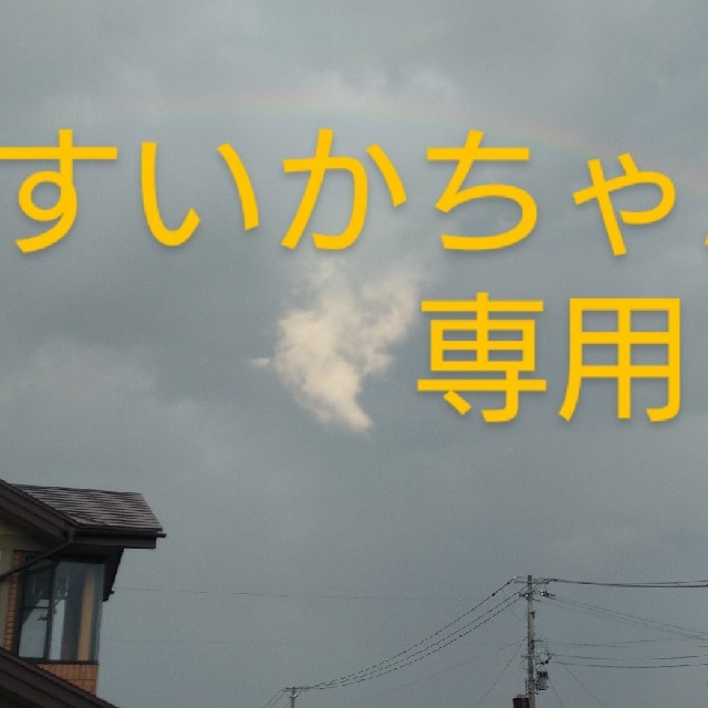 すいかちゃんさん専用ページ その他のその他(その他)の商品写真