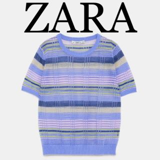 ザラ(ZARA)のZARA シースルー ニット(ニット/セーター)