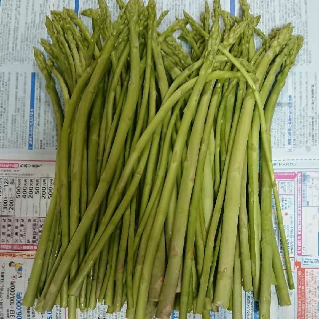 佐賀県産グリーンアスパラ1.8キロ(訳あり) 食品/飲料/酒の食品(野菜)の商品写真