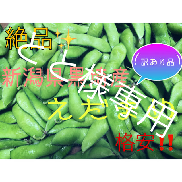 新潟県 黒埼産 えだまめ 8kg  訳あり品（ハネ豆）