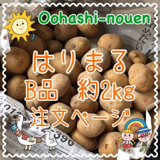 大橋農園 はりまる B品 約2kg 注文ページ(野菜)