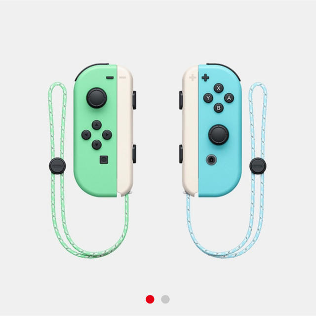 Switch Joy-Con どうぶつの森 ジョイコン 限定品