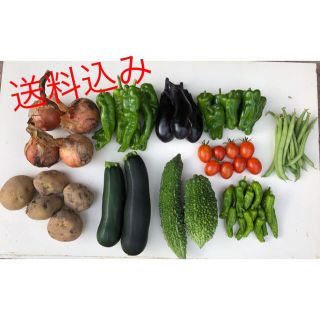 野菜詰め合せBOX　無農薬　じゃがいも　ゴーヤ　ズッキーニ　万願寺　その他(野菜)